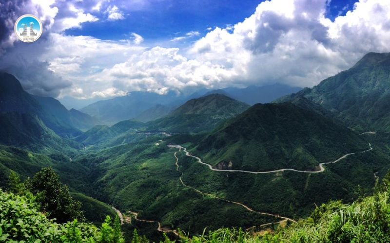 Ô quy hồ vào mùa hè