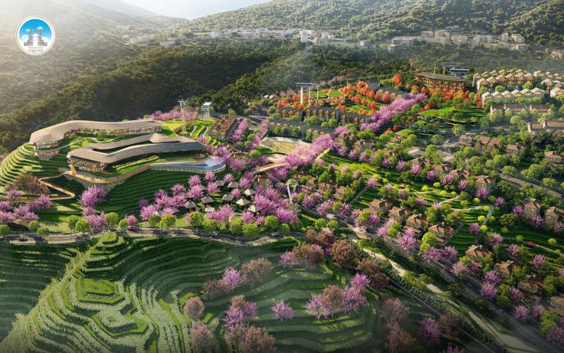 Thời điểm lý tưởng để tham quan Sapa Ô Quy Hồ