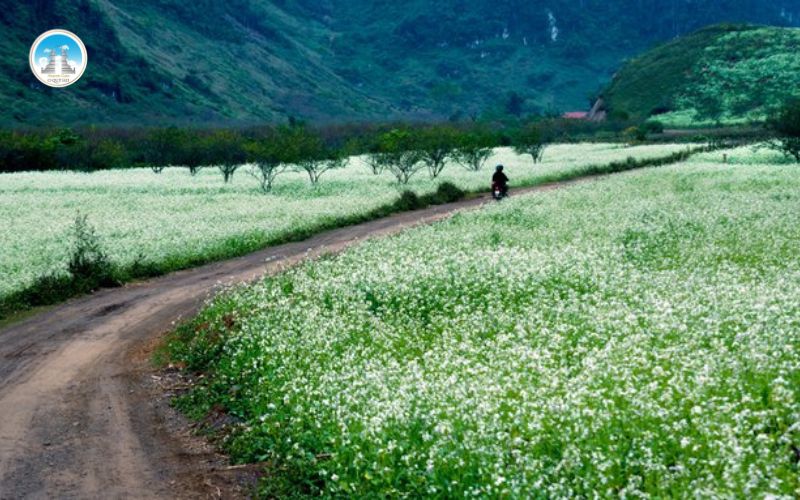 khám phá các địa điểm du lịch thiên nhiên Việt Nam