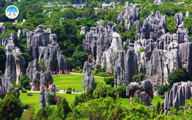 Núi Hàm Rồng vườn hoa giữa mây trời Sapa