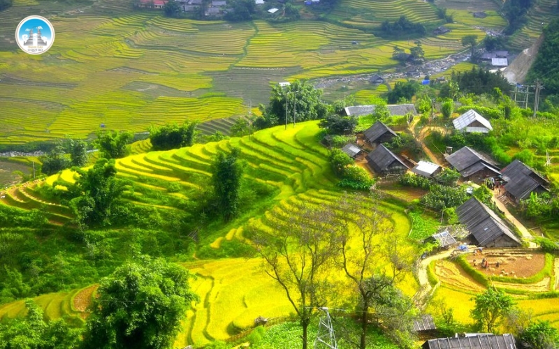 Bản Sín Chải