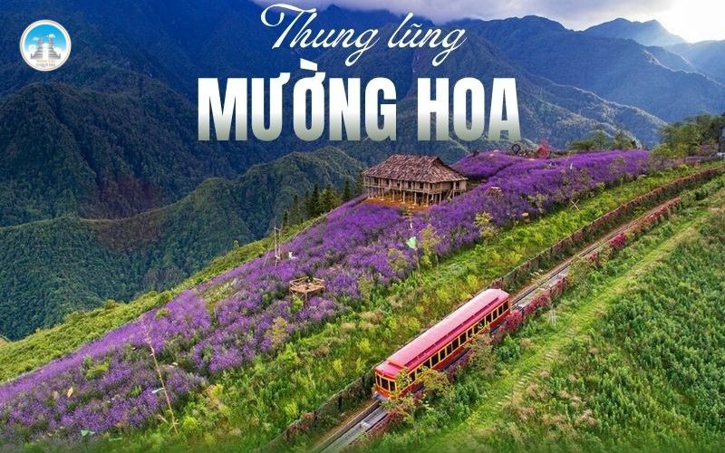 Điểm nhìn toàn cảnh thung lũng mường hoa