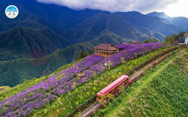 Thung lũng ngàn hoa