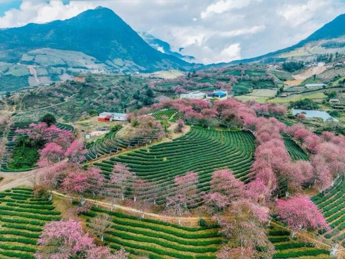 Sa Pa mùa nào đẹp