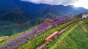 Thung lũng Mường Hoa Sapa