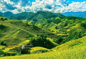 Sa Pa mùa nào đẹp