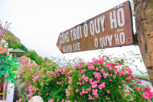 Du Lịch Vùng Cao Miền Bắc