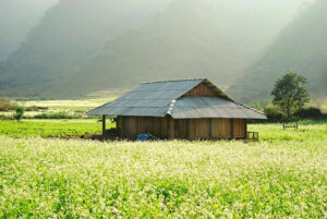 Du Lịch Vùng Cao Miền Bắc