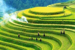 Du Lịch Vùng Cao Miền Bắc